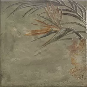 Плитка Tahiti Natural 20x20