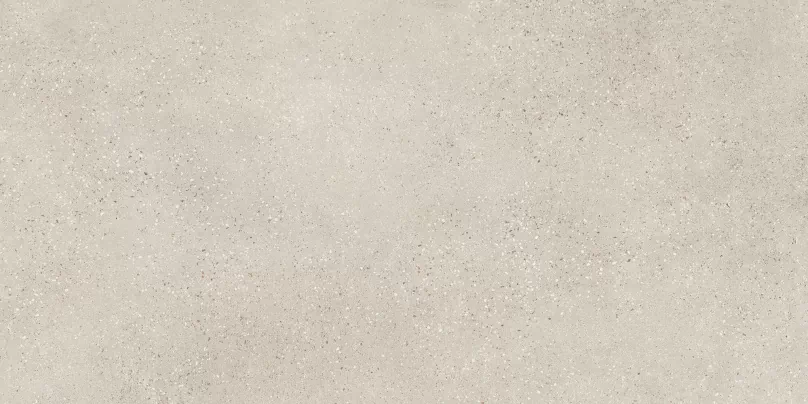 Керамогранит Asphalt Grit Rect R10 60x120