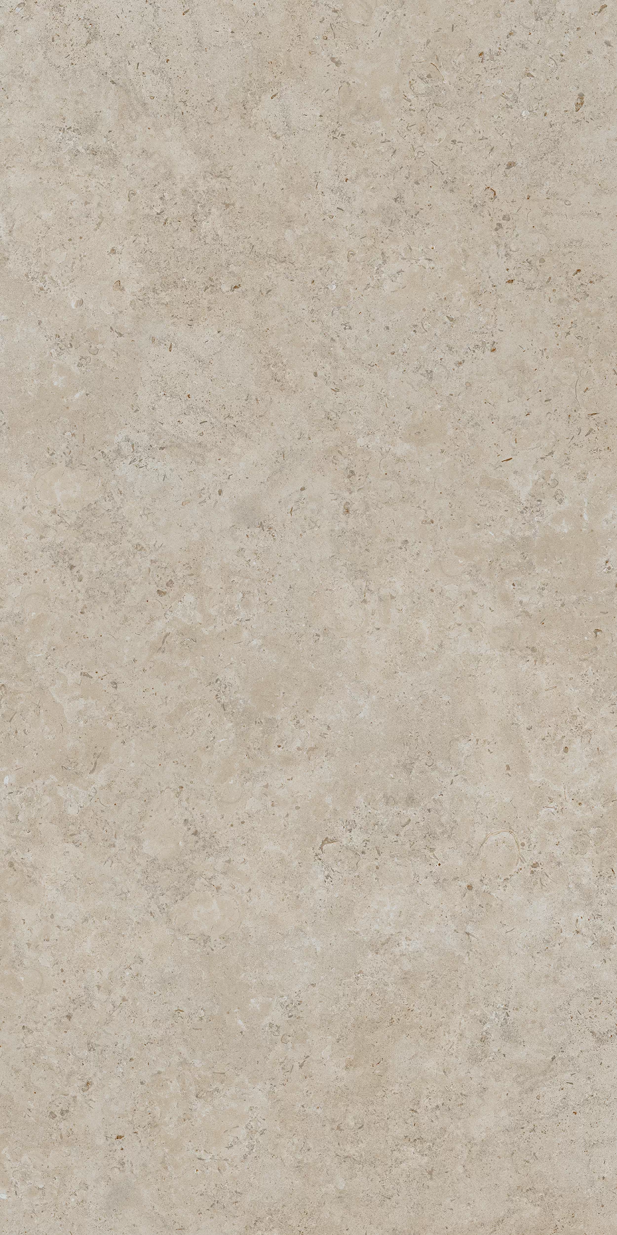 Керамогранит DD590500R Про Лаймстоун АТ бежевый темный натуральный обрезной R10 119,5х238,5