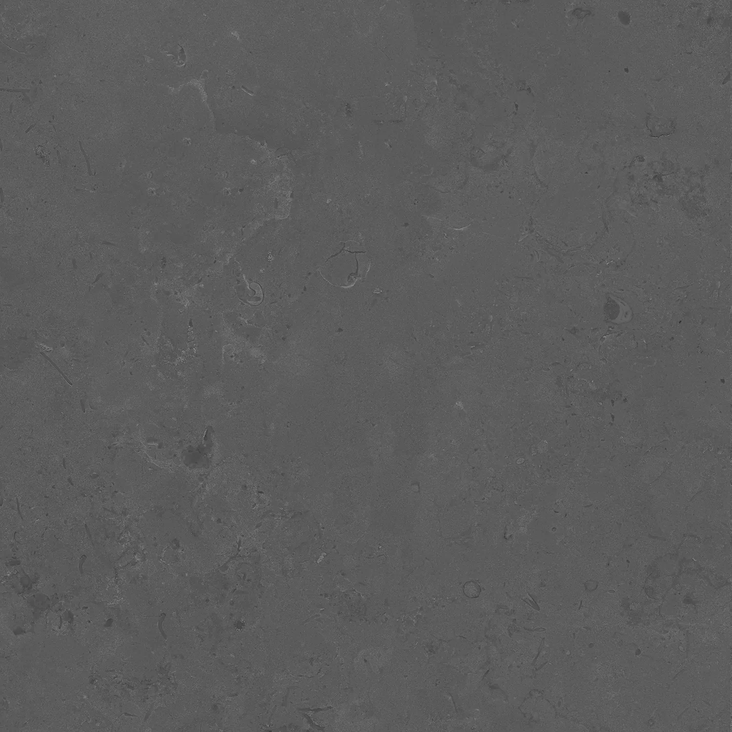 Керамогранит DD640820R Про Лаймстоун серый темный натуральный обрезной 60х60