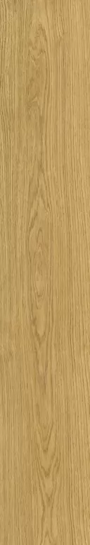 Керамогранит 05389 Solorovere Flamed Nat Ret 20x120