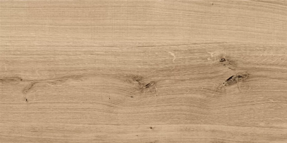 Керамогранит C-WS4O152D Woodhouse темно-бежевый 29,7х59,8