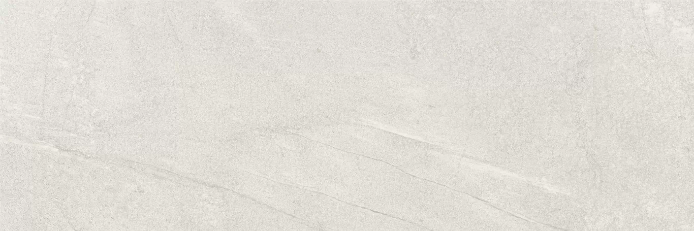 Плитка Nature Ash Rеct 40x120