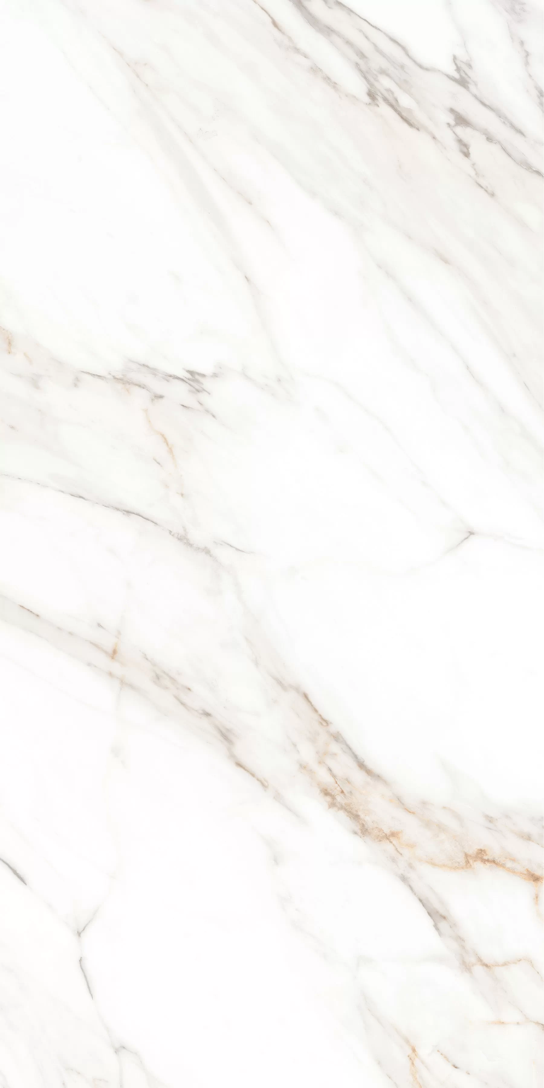 Керамогранит MPL-058631 Calacatta Gold Polished 60x120