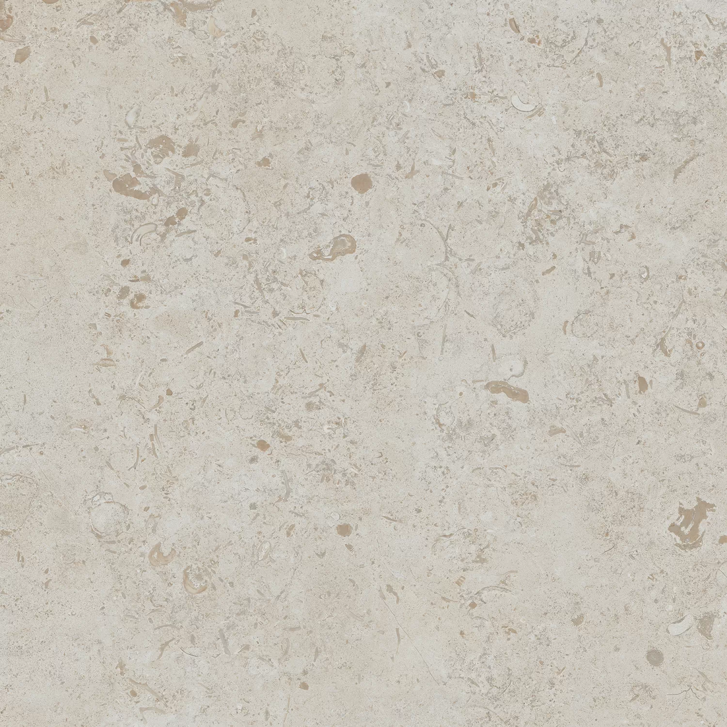 Керамогранит DD641120R Про Лаймстоун бежевый темный натуральный обрезной 60х60