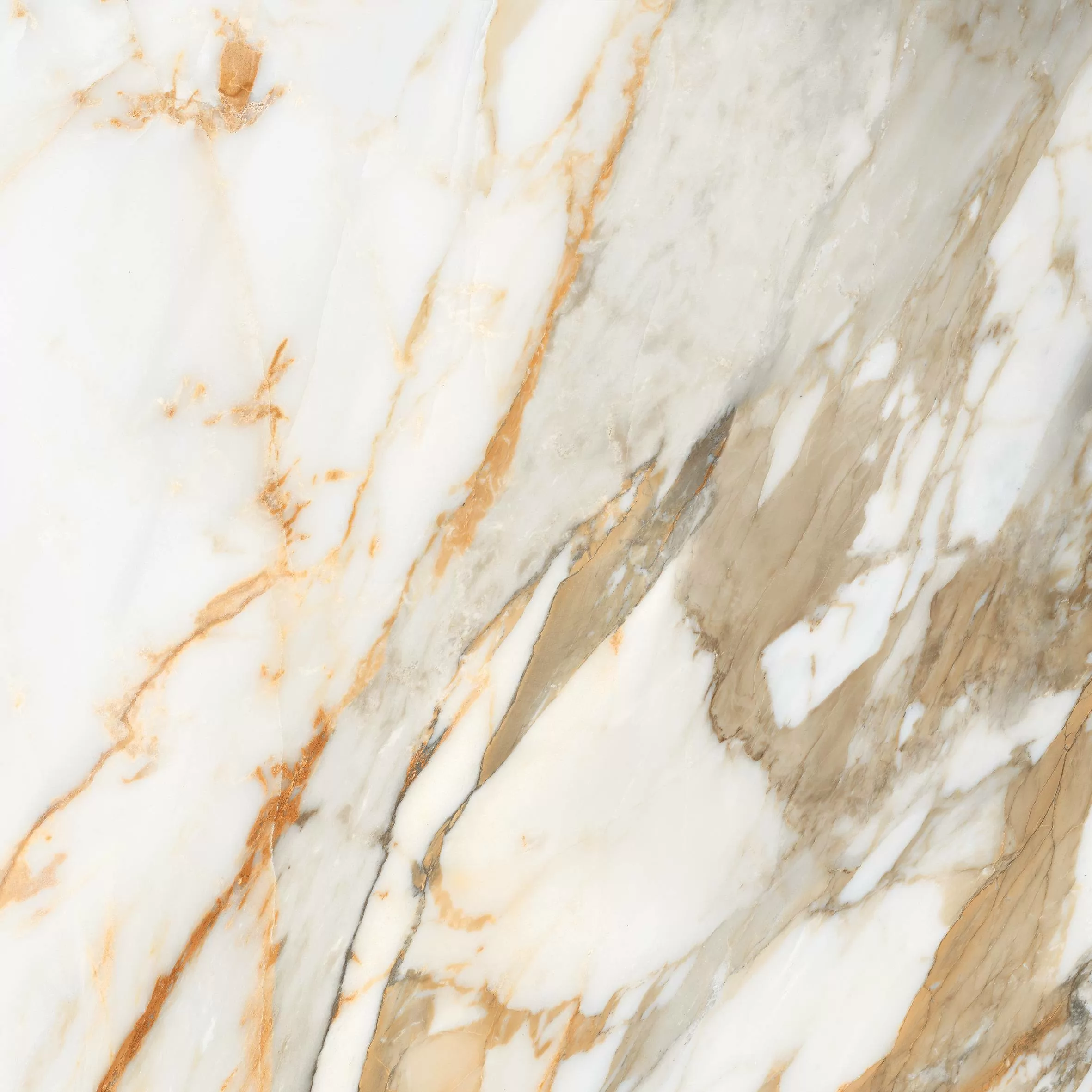 Керамогранит Calcatta Gold Borghini 60x60