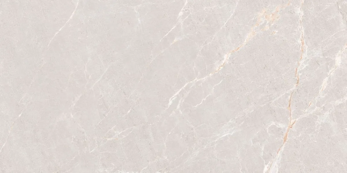 Керамогранит N20552 Persian Grey Matt 60x120