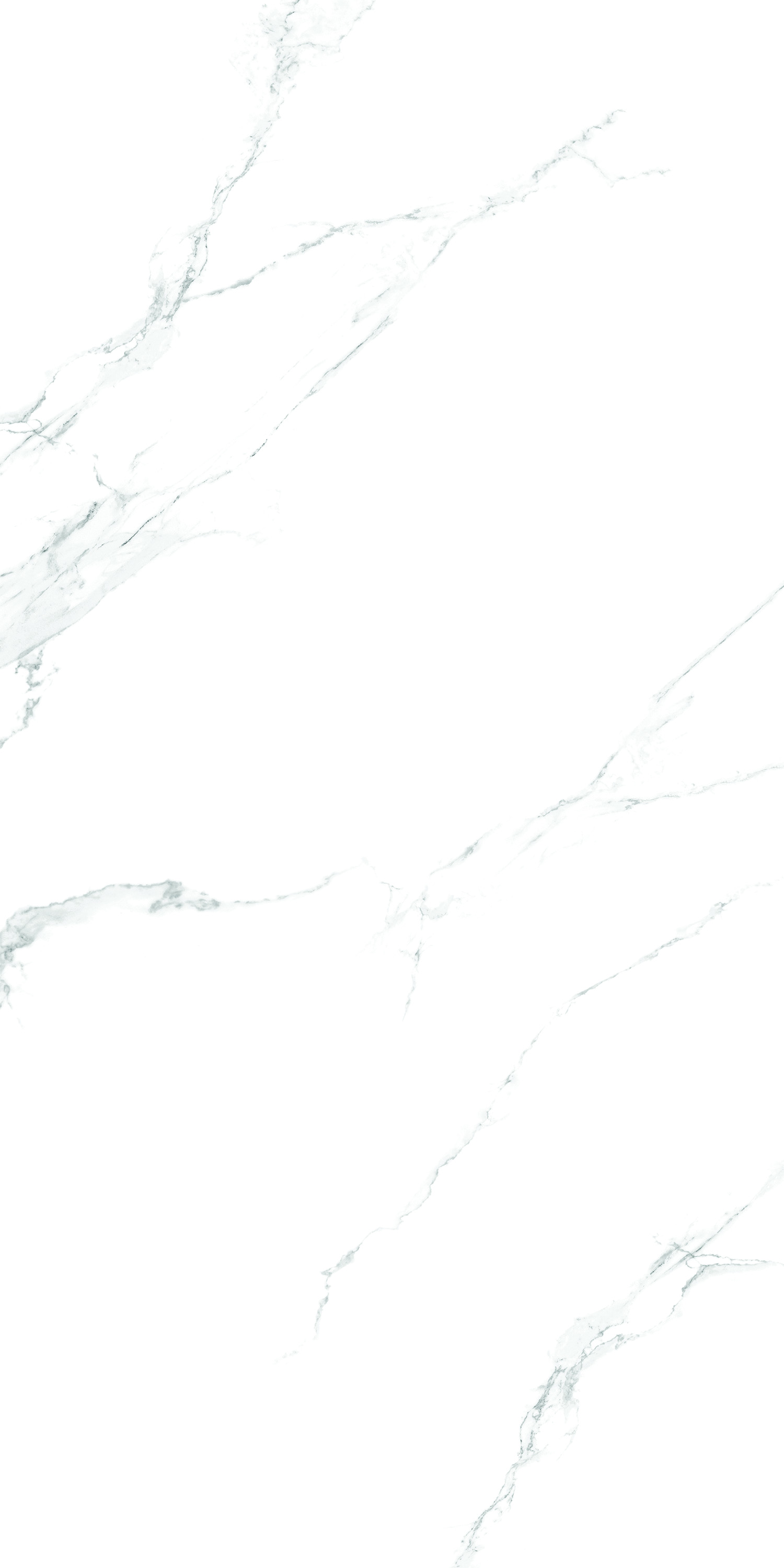 Керамогранит Carrara White Rustic Punch 60х120