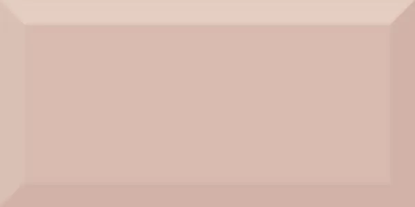 Плитка Monocolor Salmon Biselado Brillo 10х20