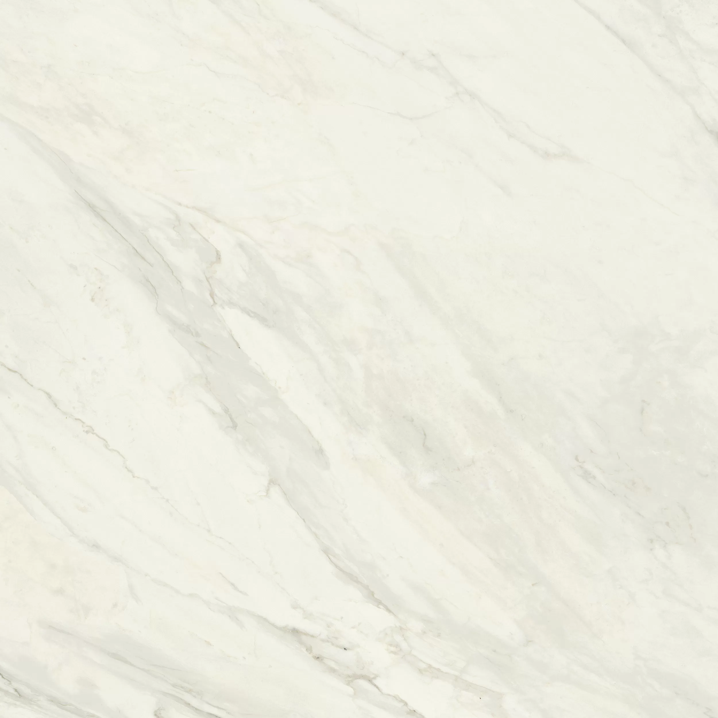 Керамогранит Trivor Bianco RECT 80x80