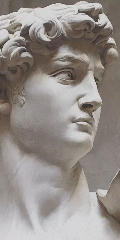 Керамогранит VT/B564/SG591820R Ковер Давид 2 матовый обрезной 119,5х238,5х0,9