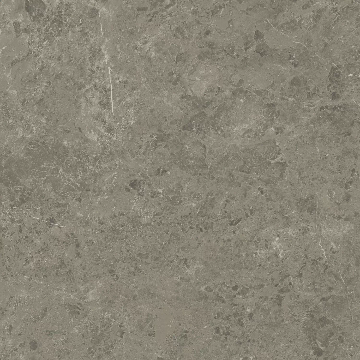 Керамогранит AJIF Marvel Meraviglia Grigio Elegante Lapp. 120x120