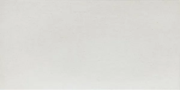 Плитка WATMB609 UNISTONE white 20x40