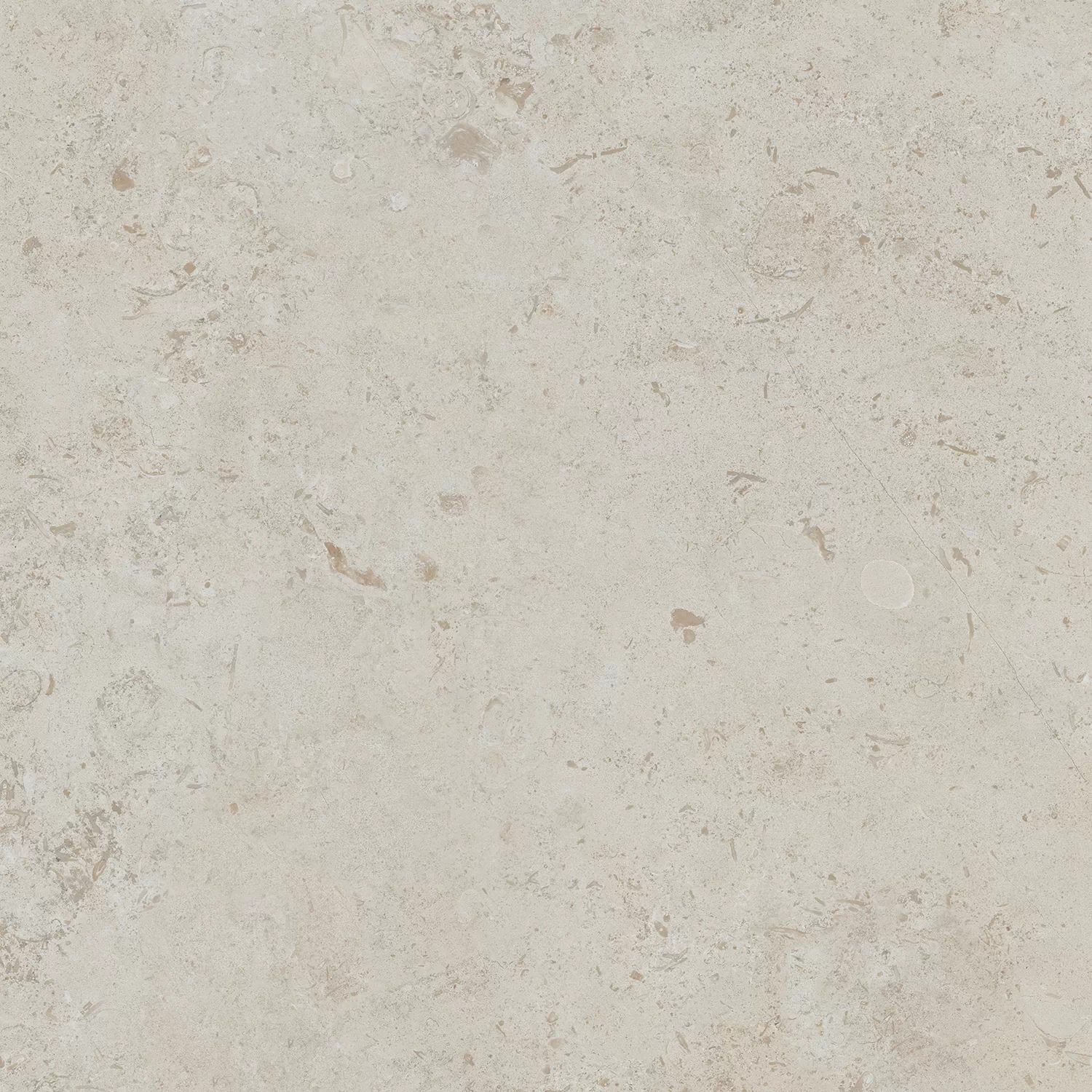 Керамогранит DD641220R Про Лаймстоун бежевый натуральный обрезной 60х60