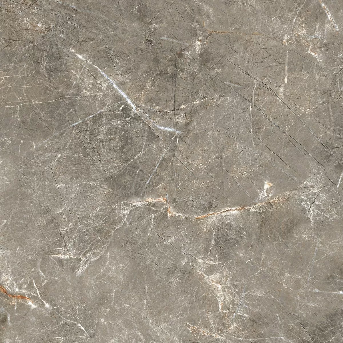 Керамогранит R_PR1023 Olympia Grey Polished 60x60
