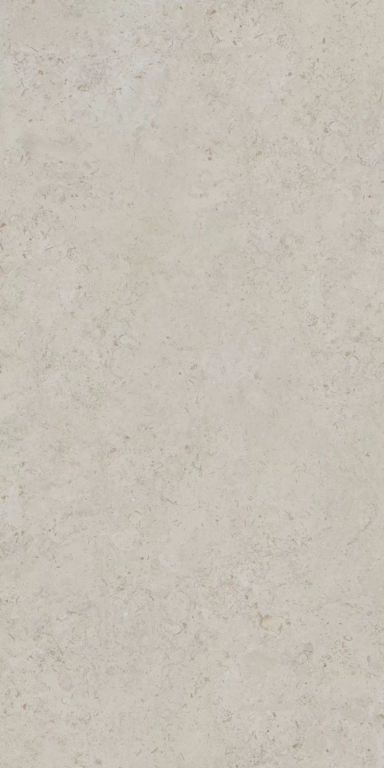 Керамогранит DD590400R Про Лаймстоун АТ бежевый натуральный обрезной R10 119,5х238,5