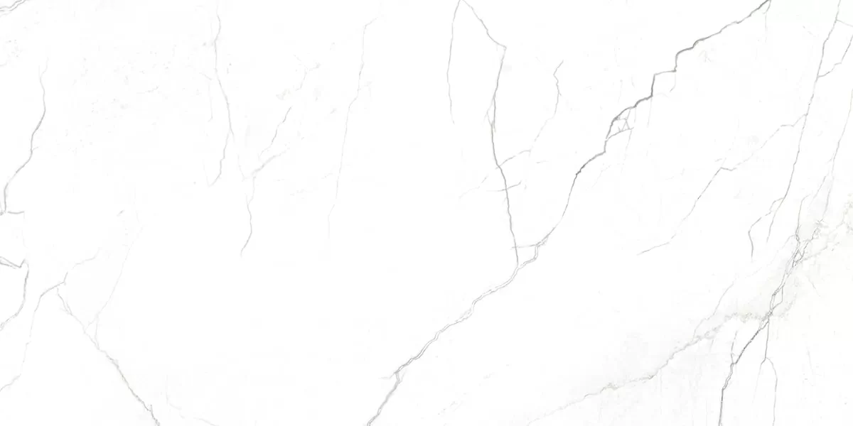 Керамогранит G391 Neiva Elegant MR 60x120