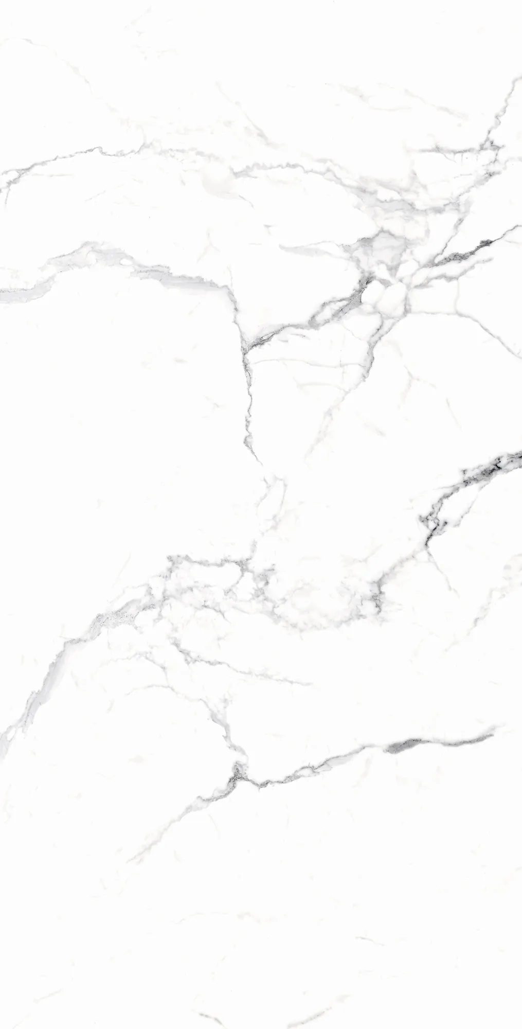 Керамогранит RT7018-A Carrara White Matt Rustic 60x120