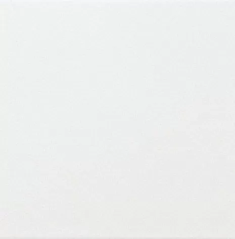 Плитка ADNE1025 LISO PB Blanco Z 15X15