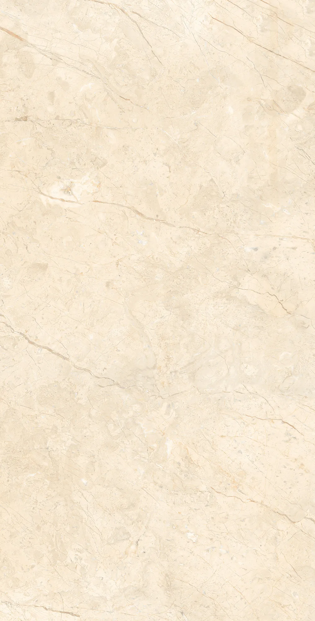 Керамогранит RT7016-A Marcus Cremano Matt Rustic 60x120