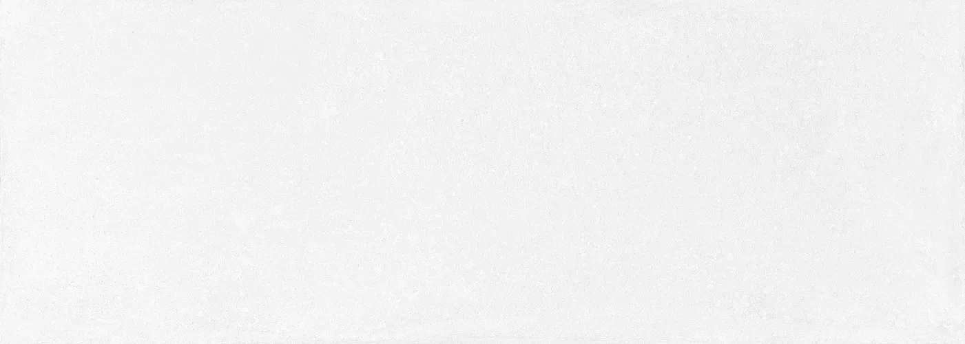 Плитка In Time Blanco 25*70