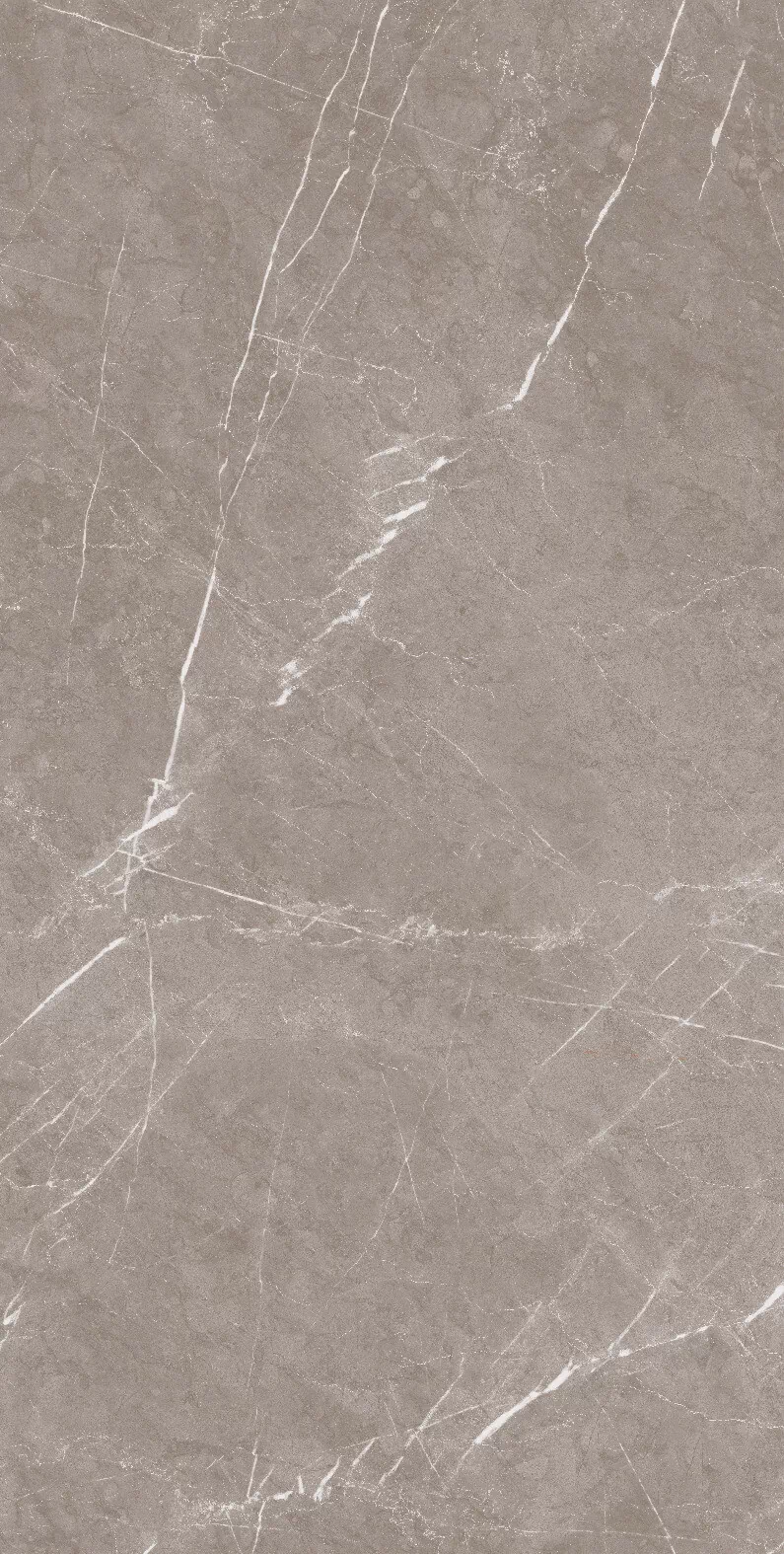 Керамогранит 1070 Monte Taupe Carv 120x60