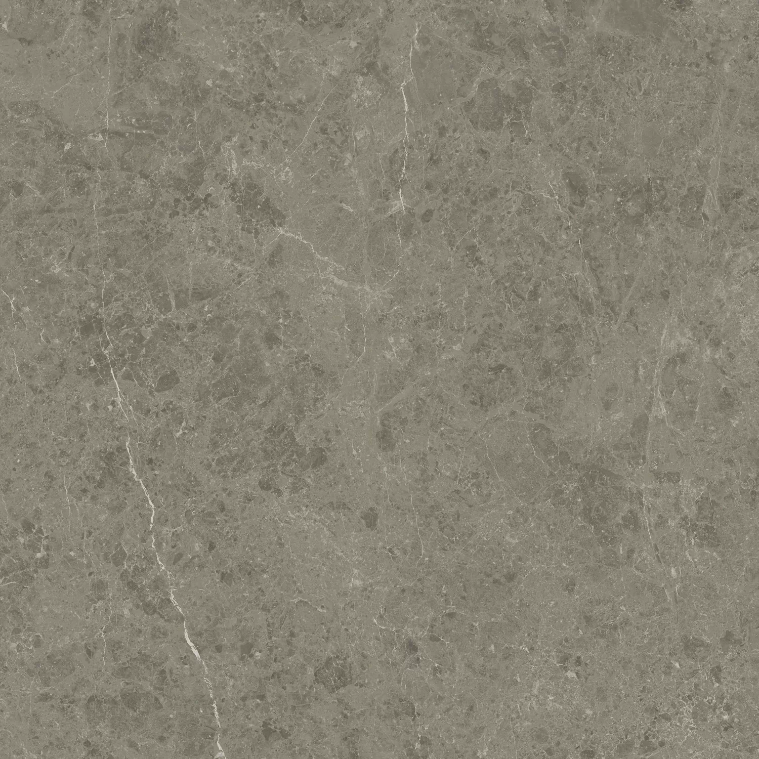 Керамогранит AJIF Marvel Meraviglia Grigio Elegante Lapp. 120x120