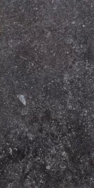 Керамогранит 1076236 Ardenne Nero 20х40