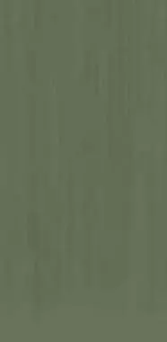 Керамогранит TC Light Green Mat 60x120
