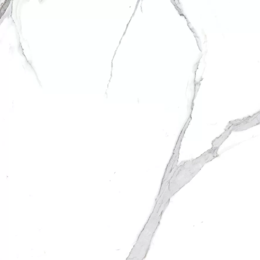 Керамогранит Calacatta Splendid Silver Белый Матовый 60х60