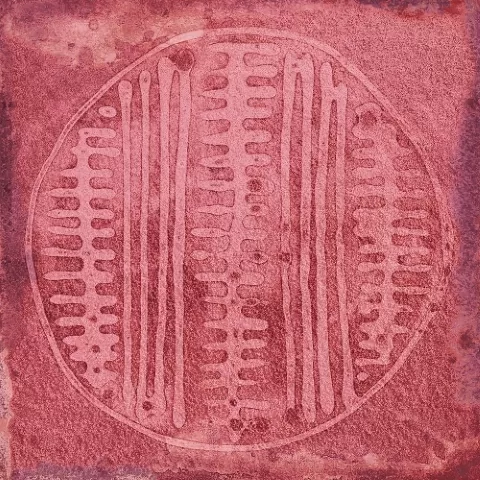 Плитка Carlo Granate-B 20x20