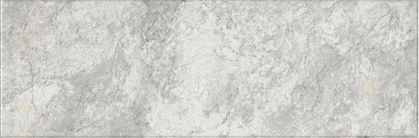 Плитка 616 Image Silver 32,5х100