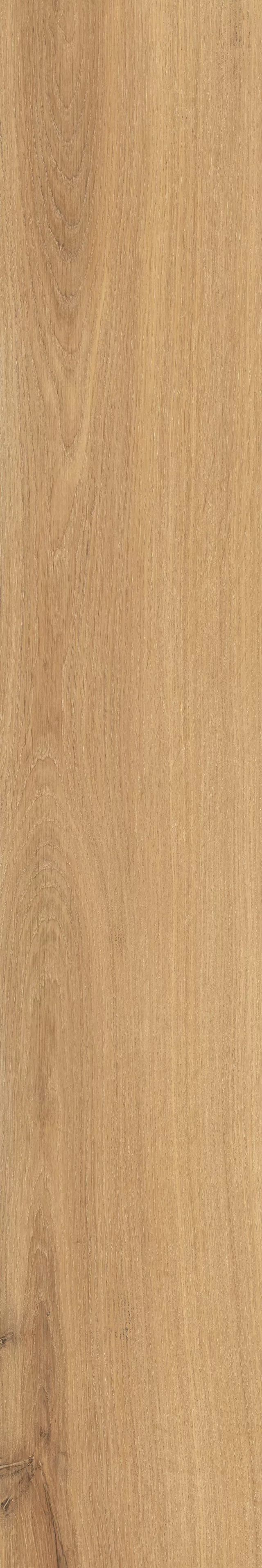 Керамогранит 781406 Oaky Life Golden Oak Matte Ret 20x120