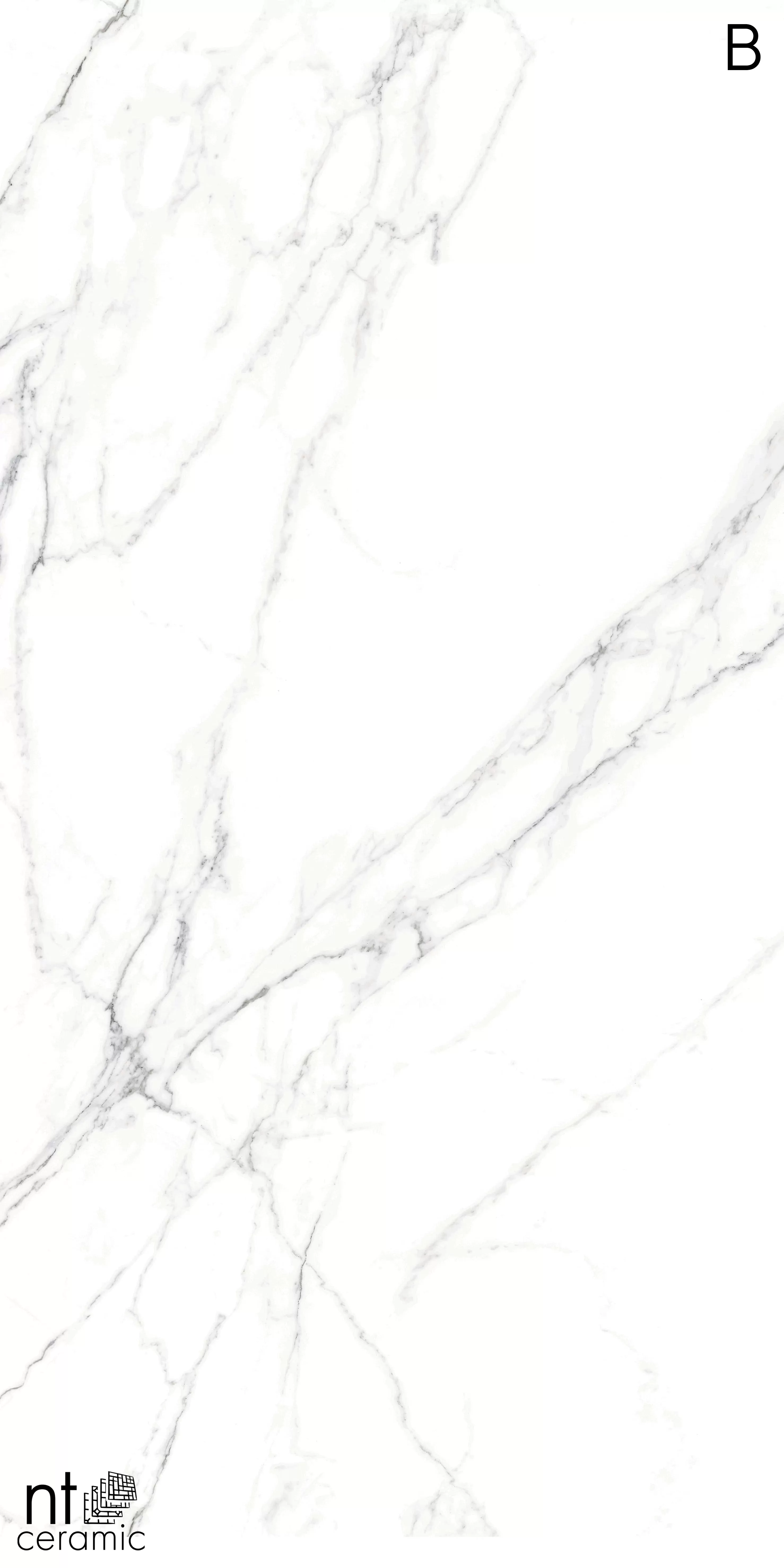 Керамогранит NTT3506L Calacatta Light 120x270