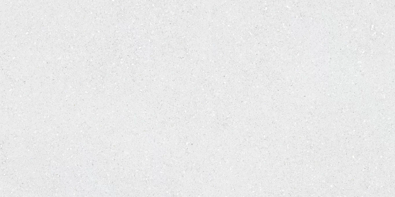 Керамогранит Sassy White Rec 60x120