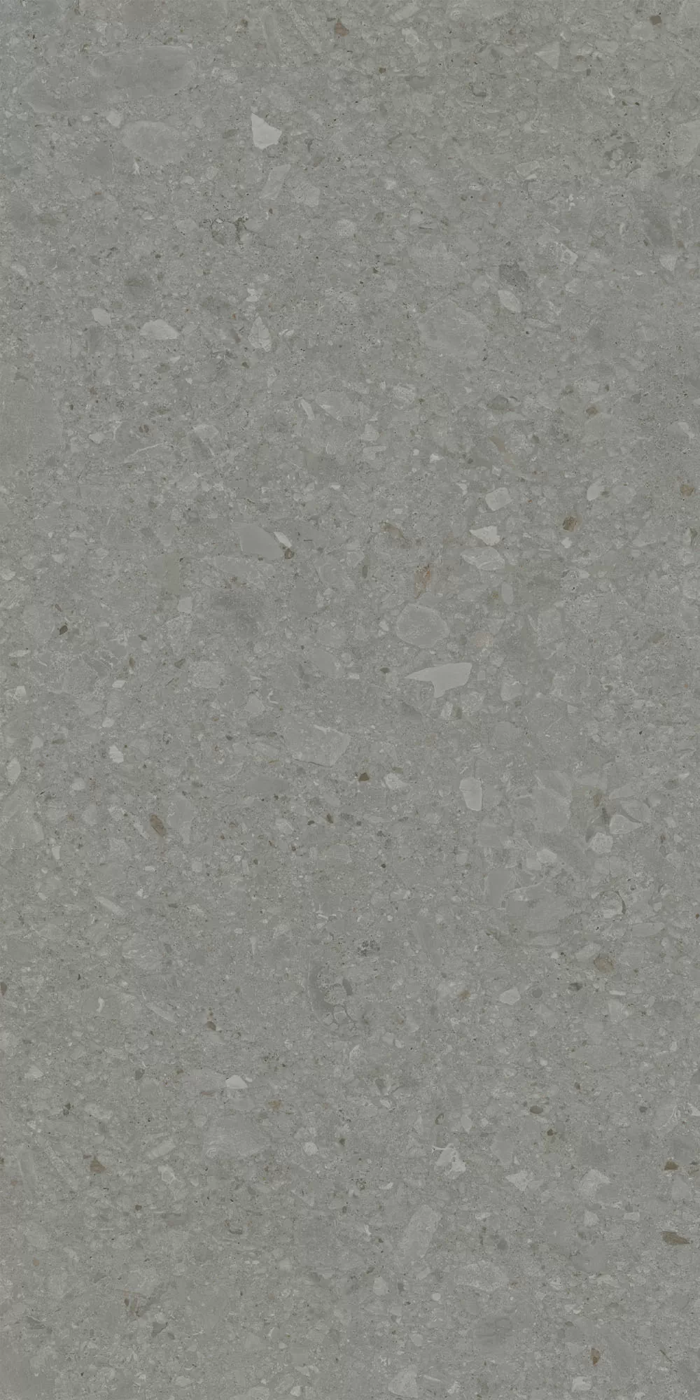 Керамогранит DD591520R Чеппо ди Гре серый тёмный матовый обрезной 119,5x238,5x0,9