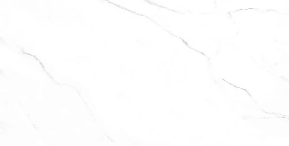 Керамогранит ENMAR1005MT60120 Carrara Bianco Matt 120x60x0.9