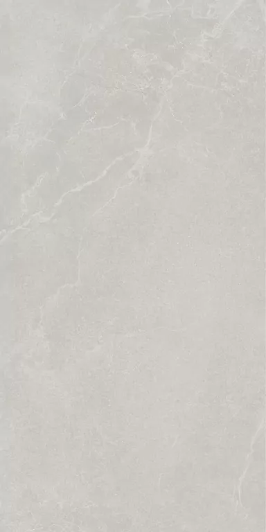 Керамогранит 199002 Noble Stone Grey Nat Ret 60х120