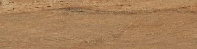 Керамогранит Leccio Oliato 10x40