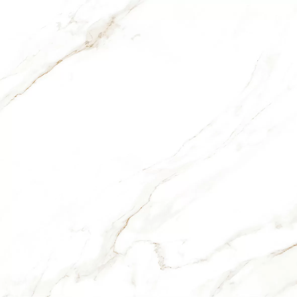 Керамогранит Calacatta Regal Gold Белый Матовый 80х80