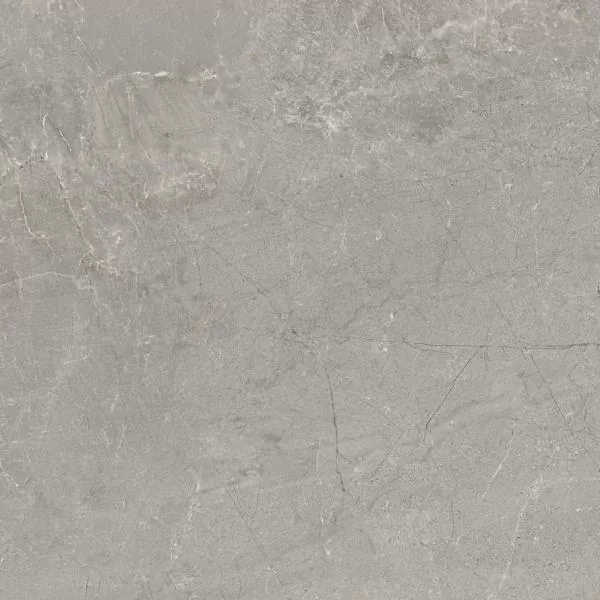 Керамогранит Tempo Ash Mate 60x60