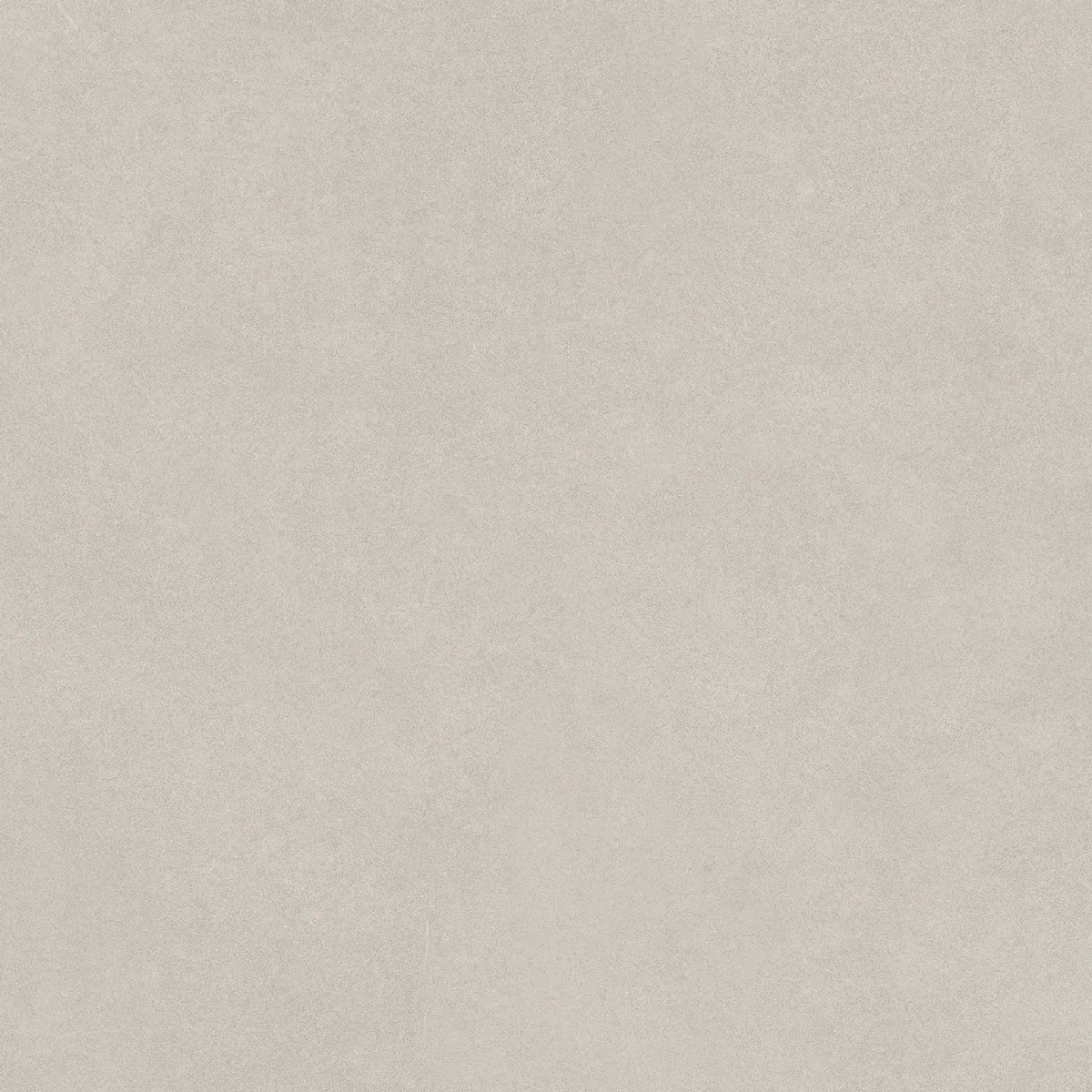 Керамогранит N100007 Levels Birch Matt 20x20