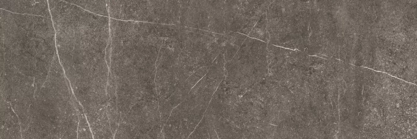 Плитка Shetland Dark Rectificado 33.3х100