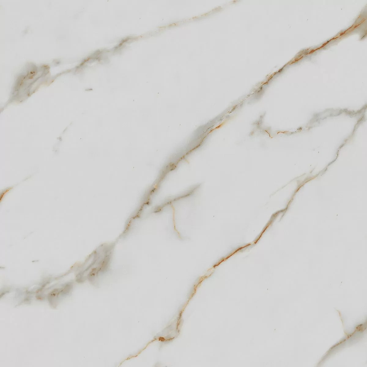 Керамогранит R_PR1003 Calacatta Gold Polished 60x60