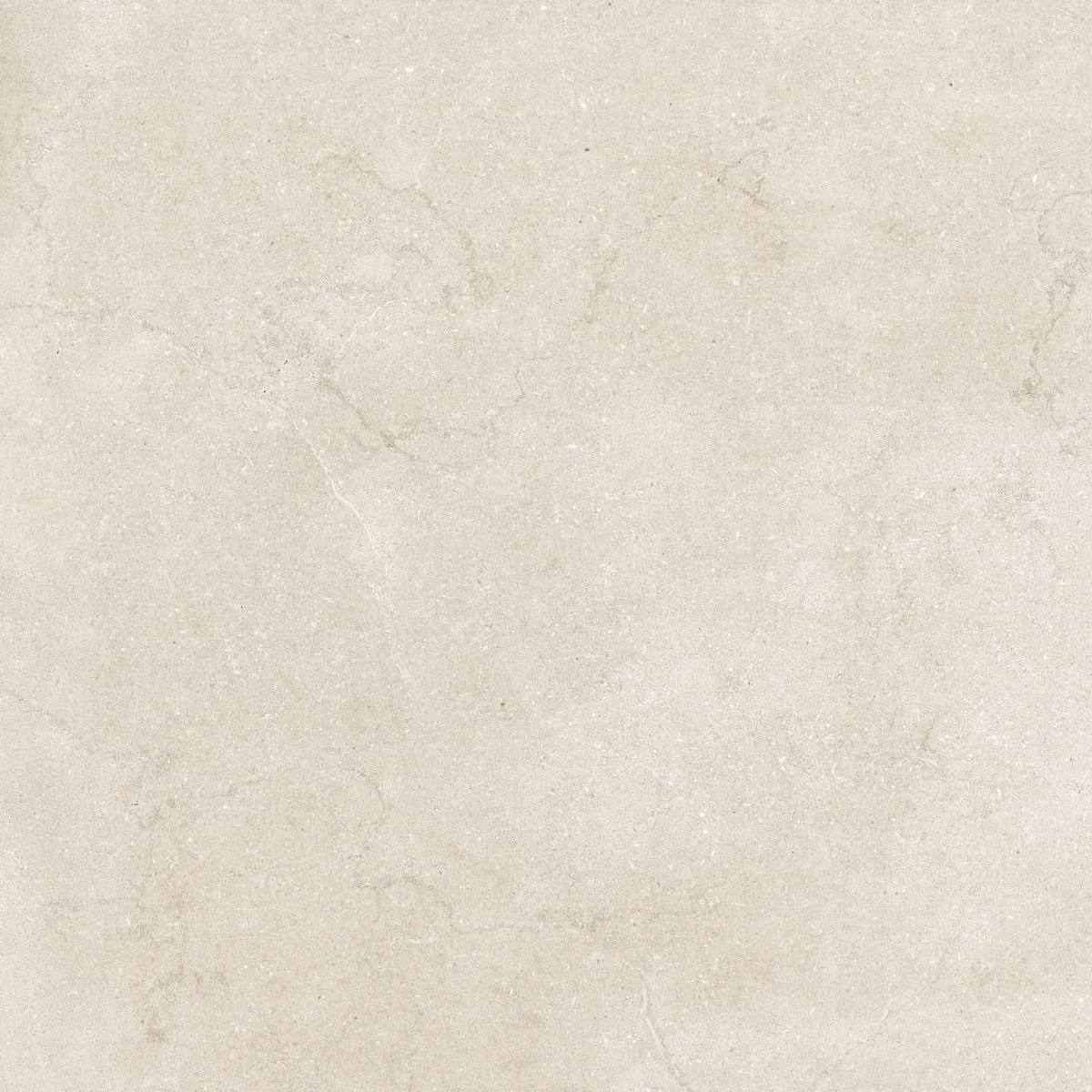 Керамогранит N12051 Eden Light Matt 120x120