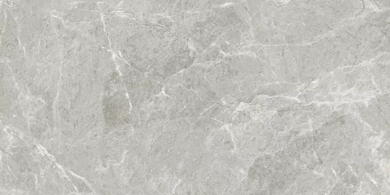 Керамогранит ETSTN1236GL60120 Baltic Grey Glossy 60x120