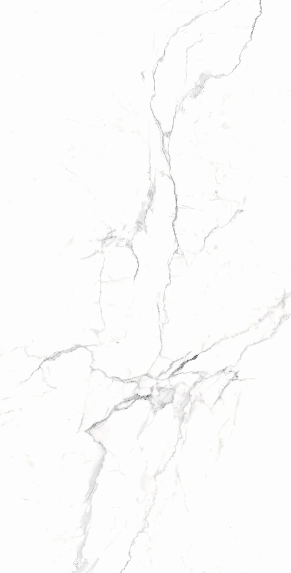 Керамогранит RT7018-A Carrara White Matt Rustic 60x120
