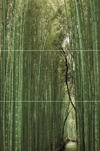 Плитка Bambu Панно (из 3-х плиток) D/E/F 50х75