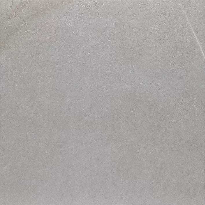 Керамогранит V55908031 Dayton Ash 59,6x59,6