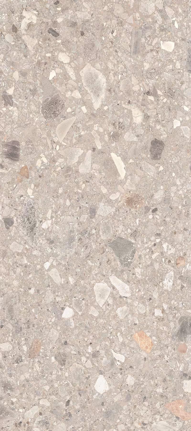 Керамогранит RH0L49M01 Rochi Fog 60x120